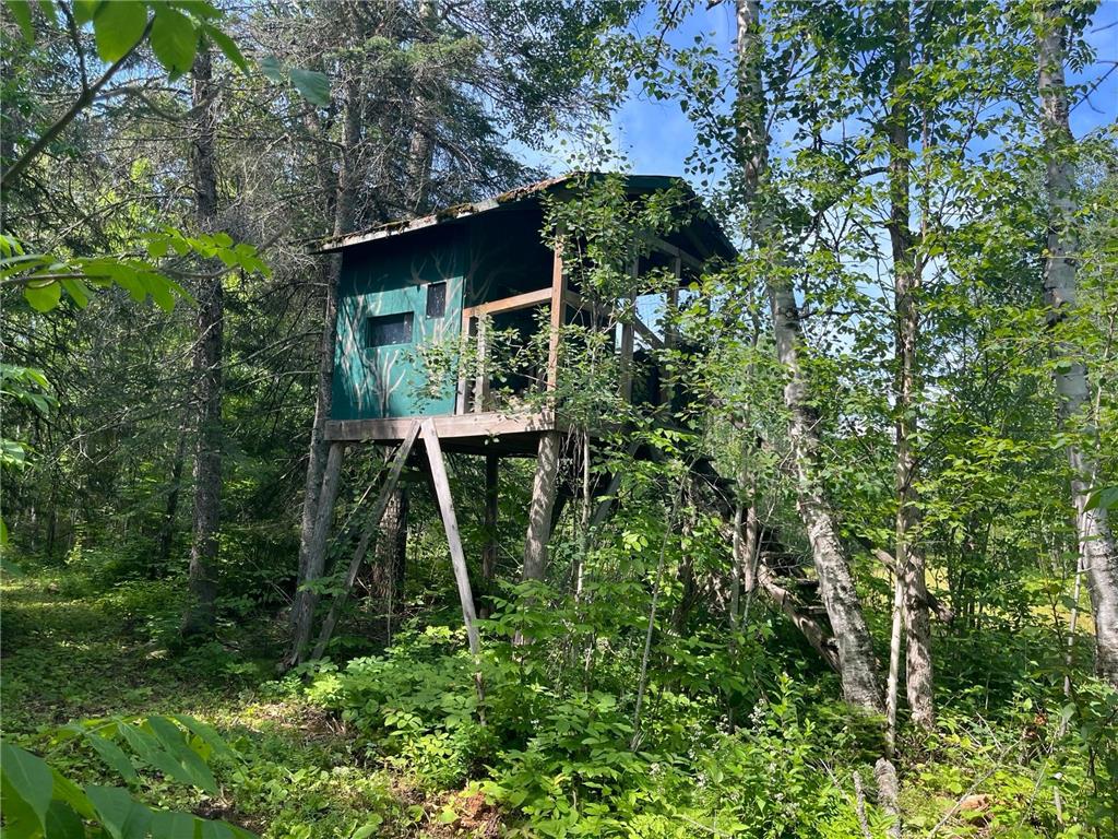 1961 Town Road 118 Birchdale MN 56629 7063831 image19
