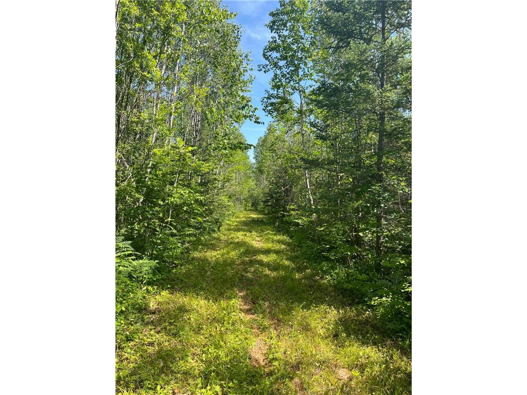 1961 Town Road 118 Birchdale MN 56629 7063831 image2