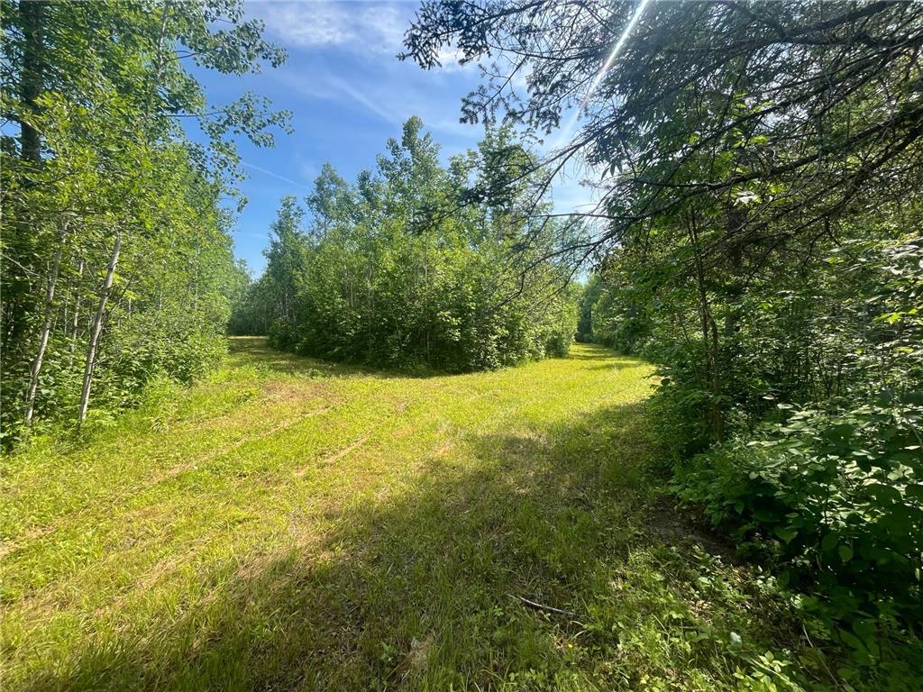 1961 Town Road 118 Birchdale MN 56629 7063831 image21