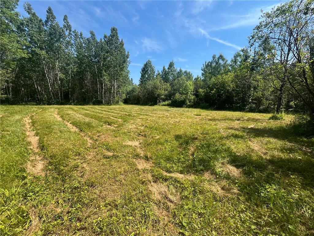 1961 Town Road 118 Birchdale MN 56629 7063831 image22