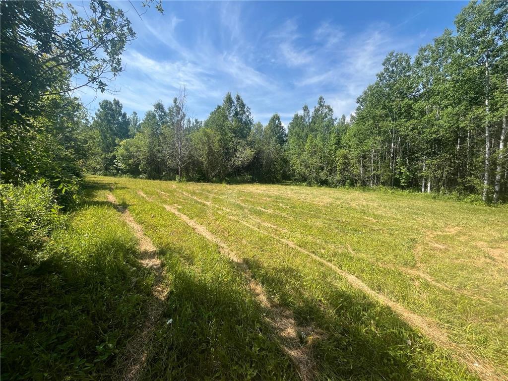 1961 Town Road 118 Birchdale MN 56629 7063831 image23