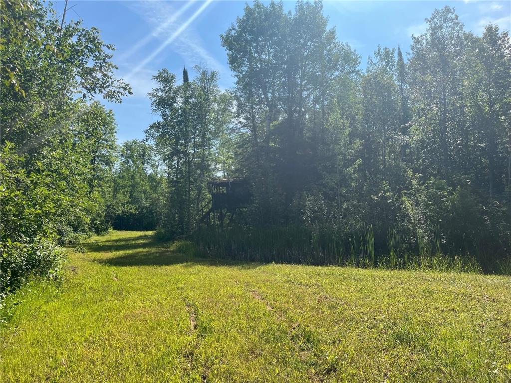 1961 Town Road 118 Birchdale MN 56629 7063831 image24