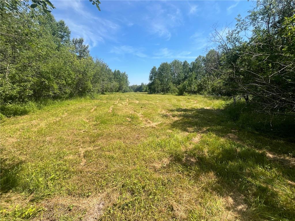 1961 Town Road 118 Birchdale MN 56629 7063831 image25