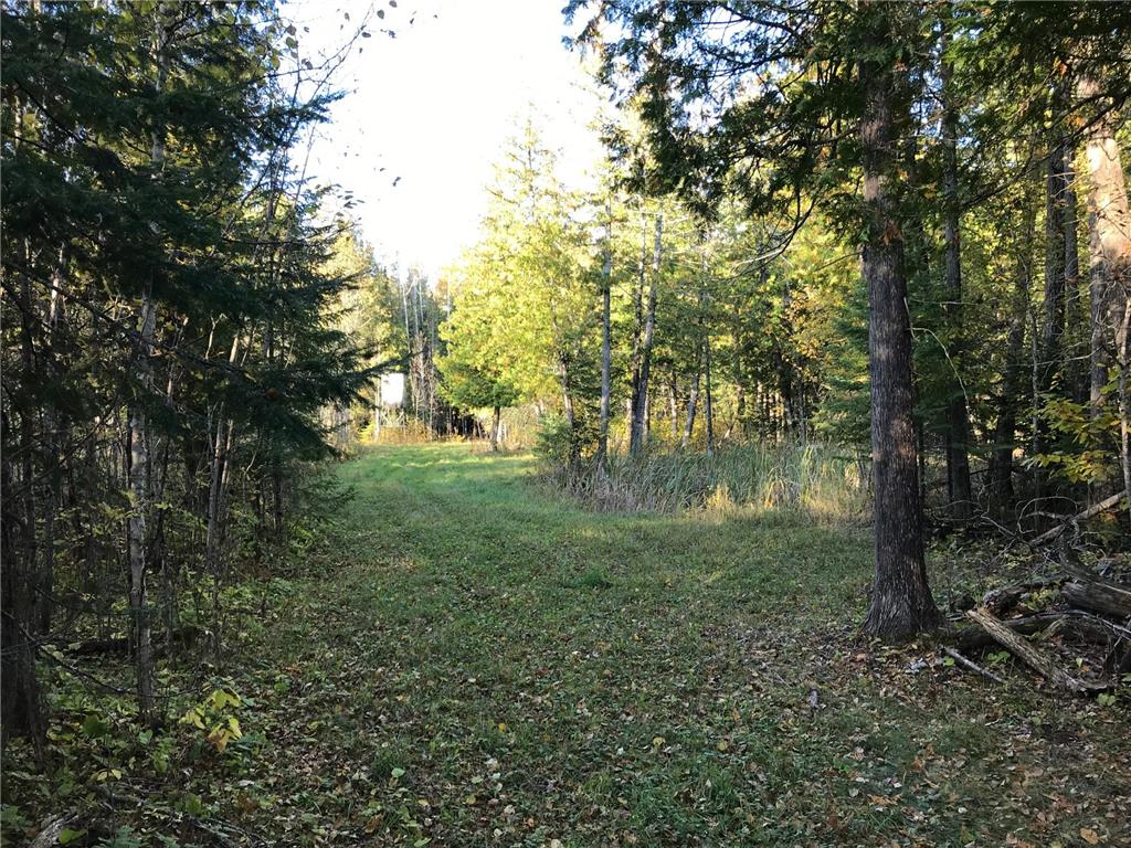 1961 Town Road 118 Birchdale MN 56629 7063831 image26