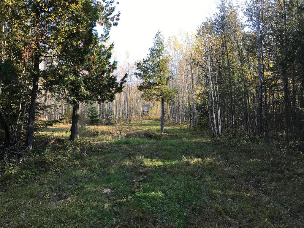 1961 Town Road 118 Birchdale MN 56629 7063831 image27