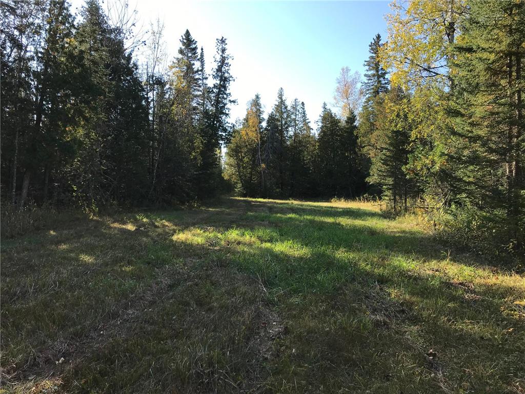 1961 Town Road 118 Birchdale MN 56629 7063831 image28