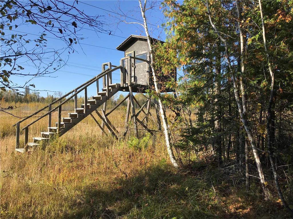 1961 Town Road 118 Birchdale MN 56629 7063831 image29