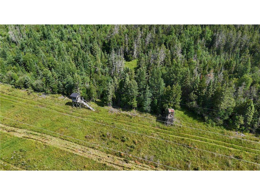 1961 Town Road 118 Birchdale MN 56629 7063831 image30