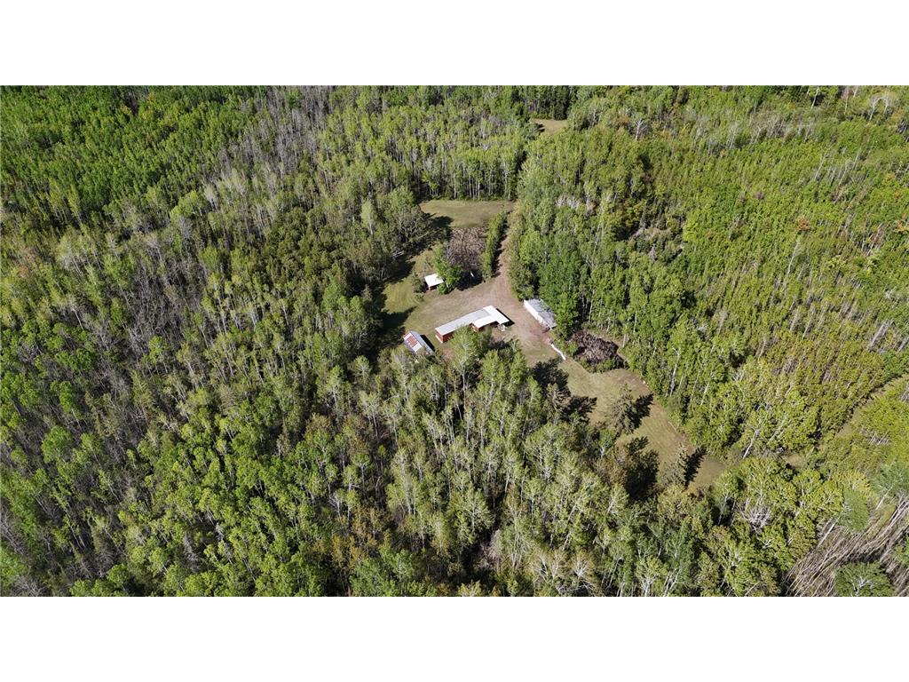 1961 Town Road 118 Birchdale MN 56629 7063831 image38