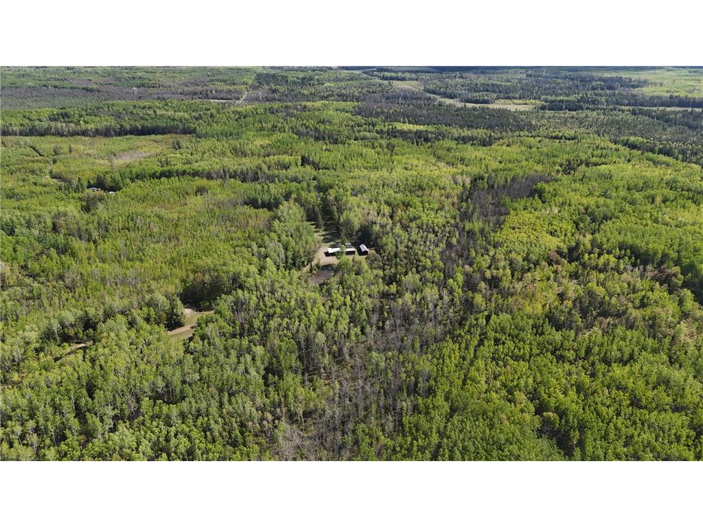 1961 Town Road 118 Birchdale MN 56629 7063831 image39