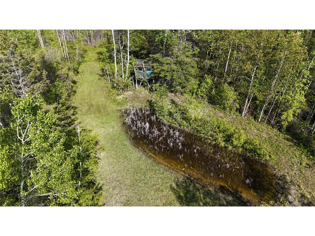 1961 Town Road 118 Birchdale MN 56629 7063831 image42