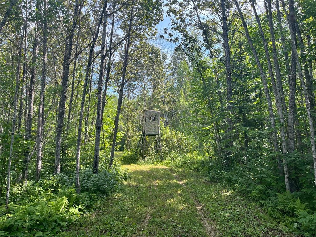 1961 Town Road 118 Birchdale MN 56629 7063831 image5