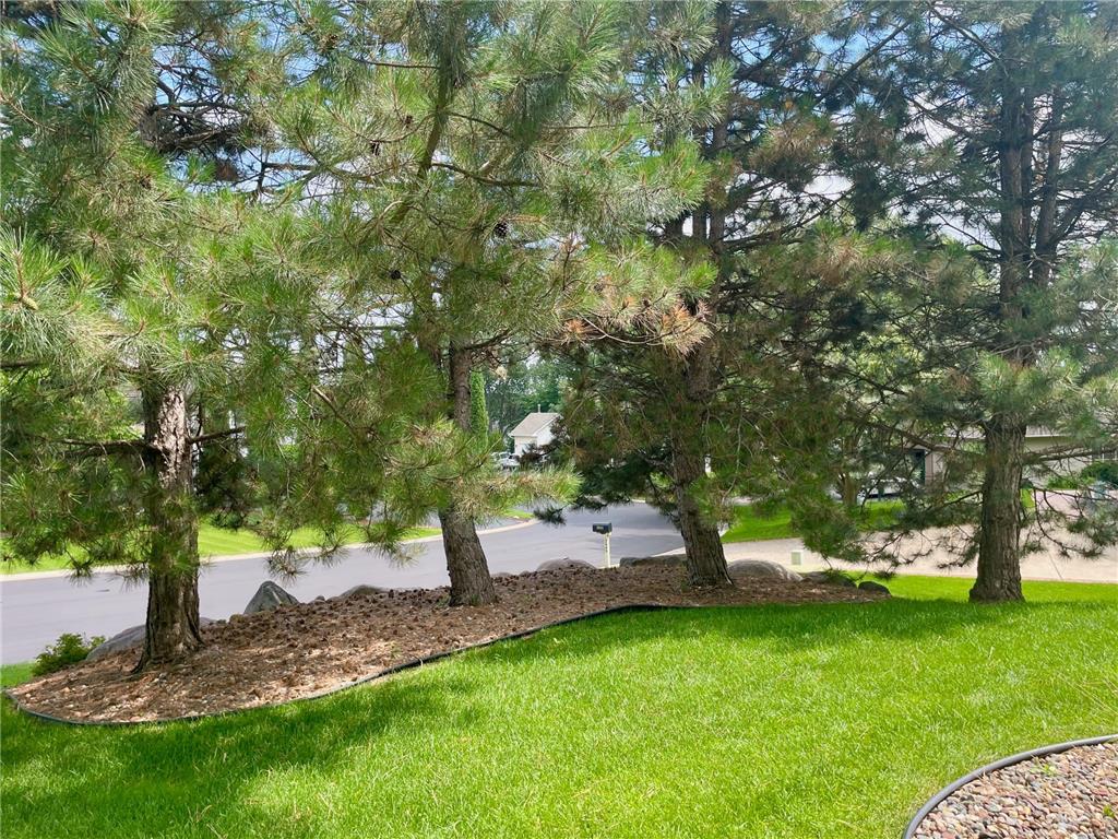 19625 Ireland Way Lakeville MN 55044 7062316 image39