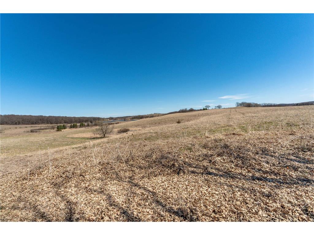 19648 County Highway 57 Nidaros Twp MN 56588 7059333 image29