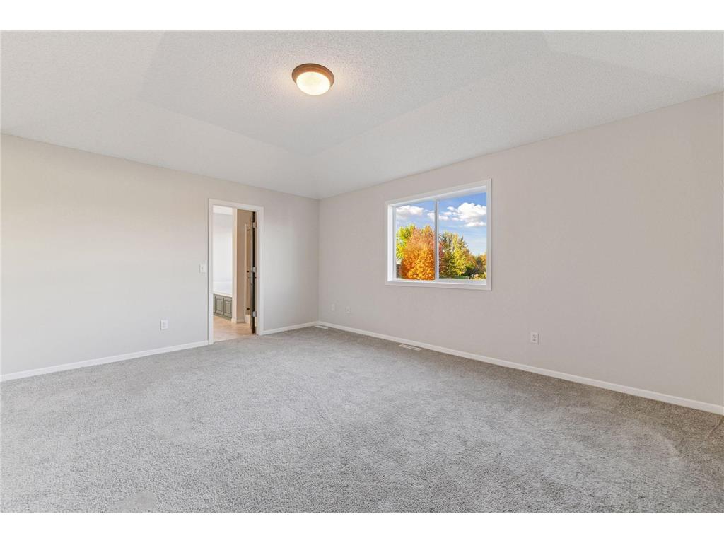 1965 Fountain Lane Waconia MN 55387 6770317 image22