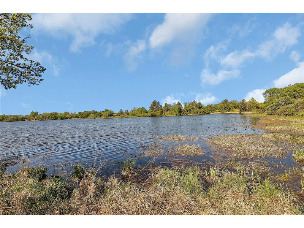 19663 County Road 9 NE New London Twp MN 56273 - Crow River 6724251 image39