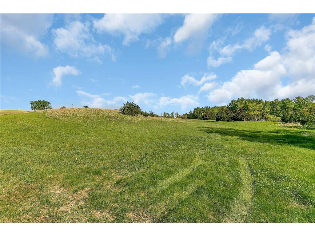 19663 County Road 9 NE New London Twp MN 56273 - Crow River 6724251 image43