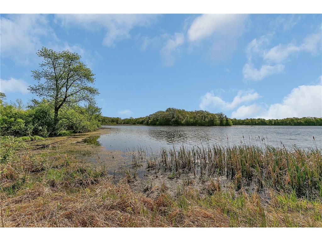 196633 County Road 9 NE New London Twp MN 56273 - Crow River 6747726 image33