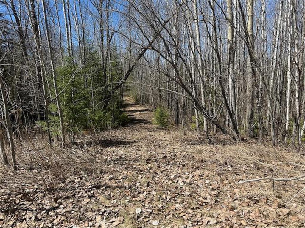 19671 Moose Point Road Grand Rapids MN 55744 6823023 image47