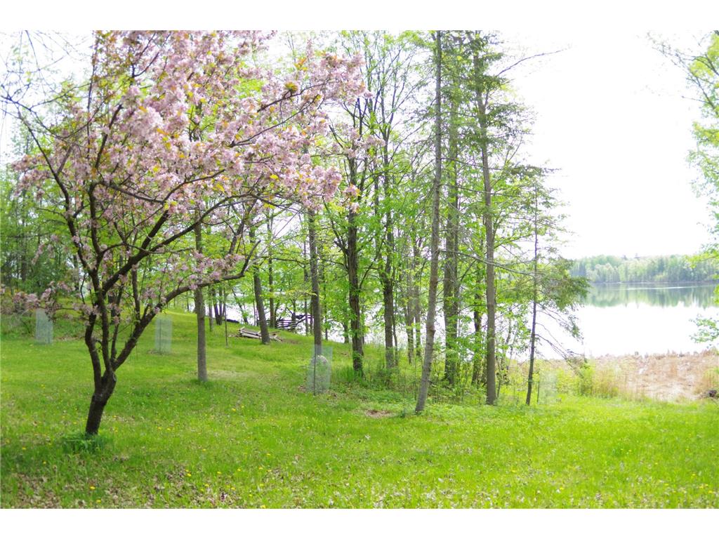 19684 Lake Julia Drive NW Bemidji MN 56601 - Julia Lake 7080906 image16