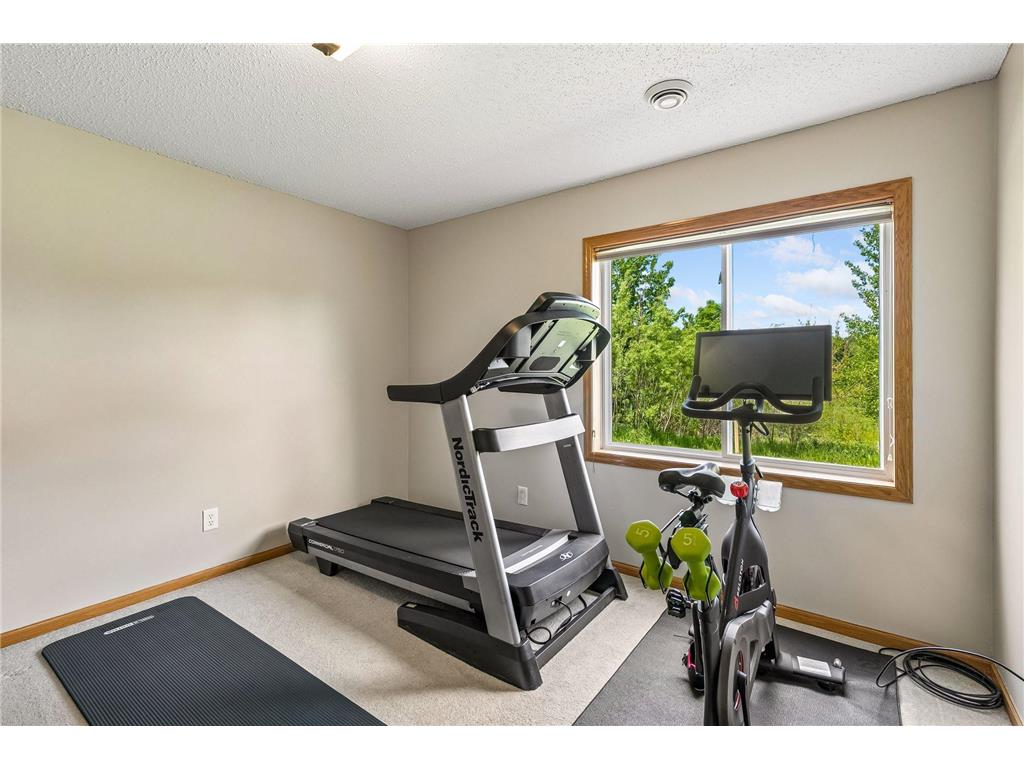 19698 Idealic Avenue Lakeville MN 55044 7078461 image19