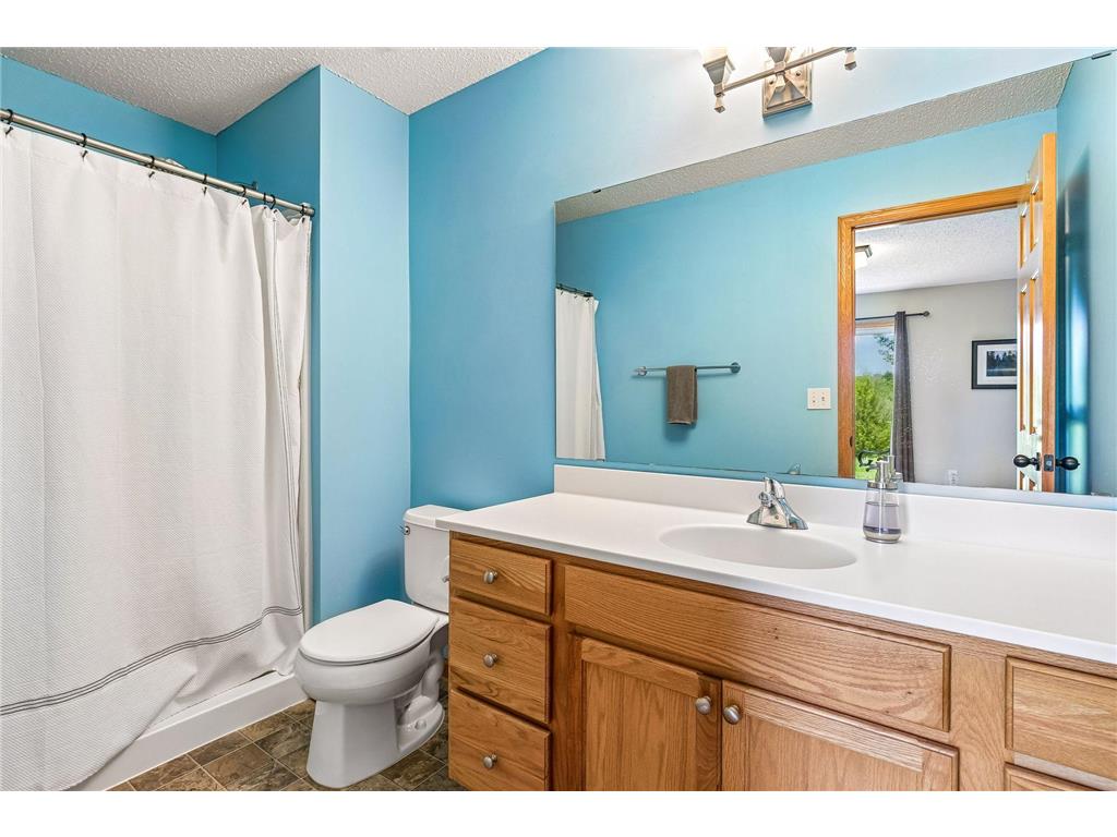 19698 Idealic Avenue Lakeville MN 55044 7078461 image20