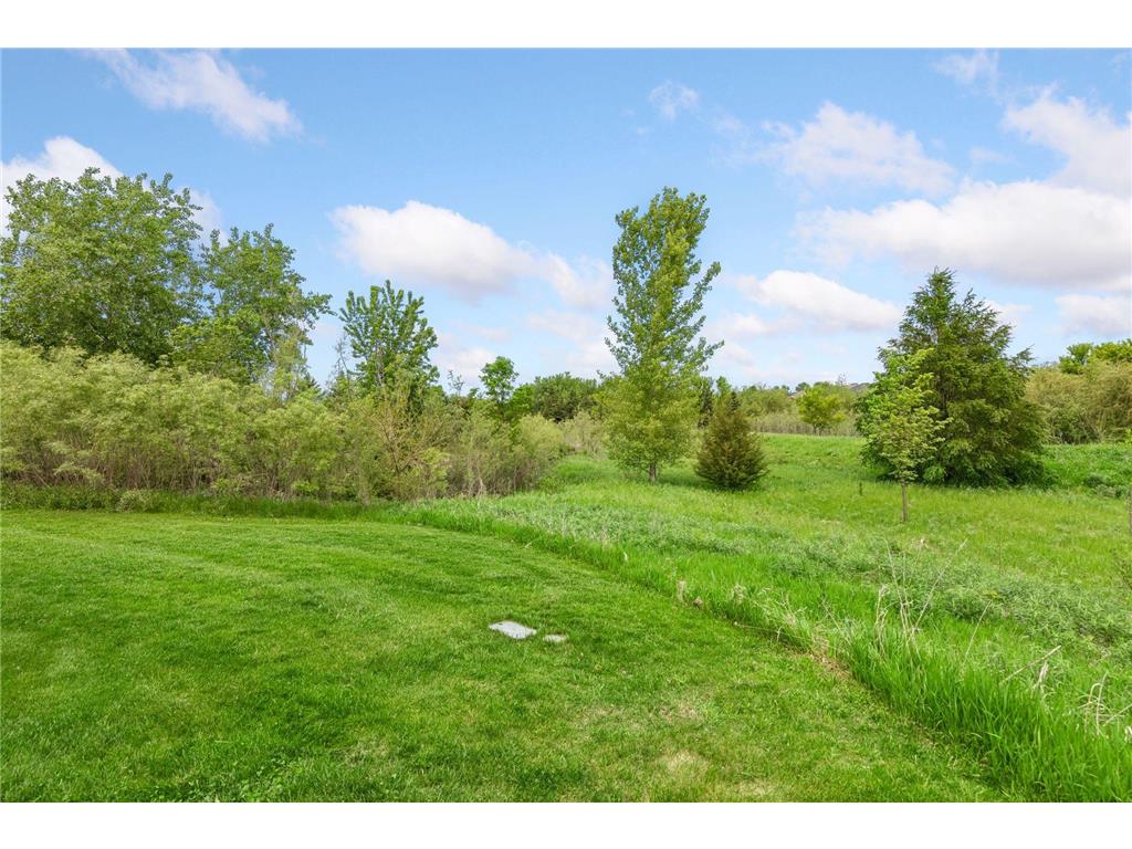 19698 Idealic Avenue Lakeville MN 55044 7078461 image22