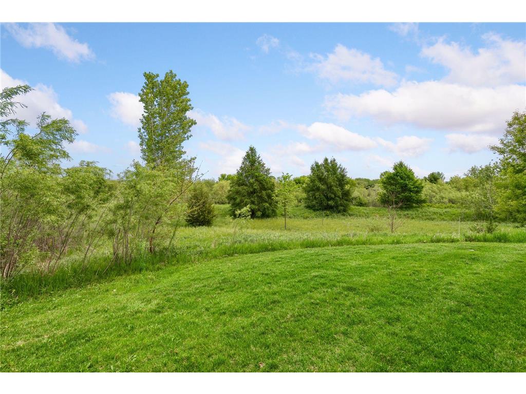 19698 Idealic Avenue Lakeville MN 55044 7078461 image23