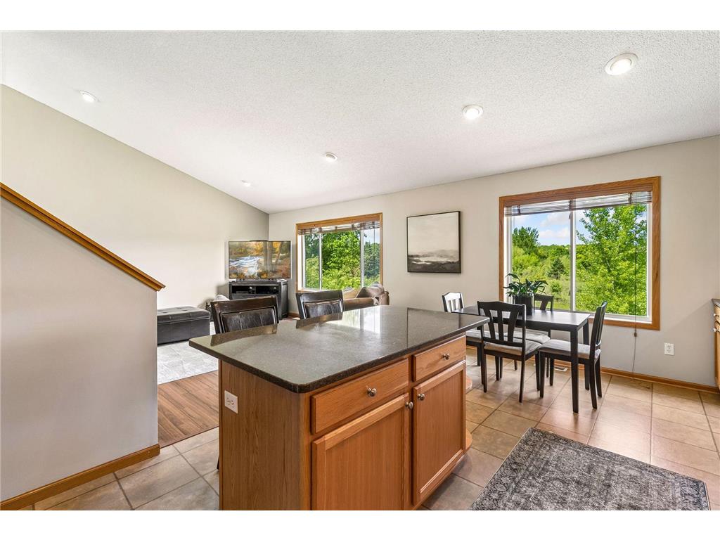19698 Idealic Avenue Lakeville MN 55044 7078461 image6