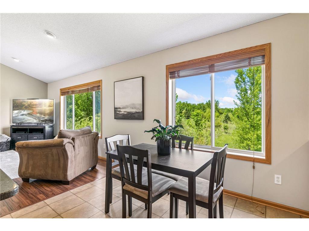 19698 Idealic Avenue Lakeville MN 55044 7078461 image7
