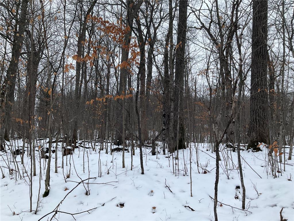 196th Place, Mcgregor, MN, 55760 MLS 6481783 Edina Realty