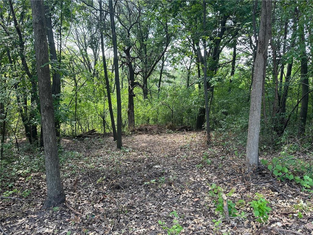 196x Glenhill Road Mendota Heights MN 55118 6772796 image12