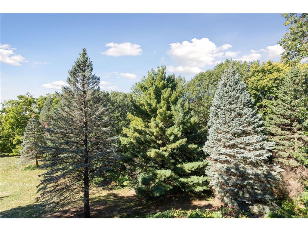 196x Glenhill Road Mendota Heights MN 55118 6772796 image2