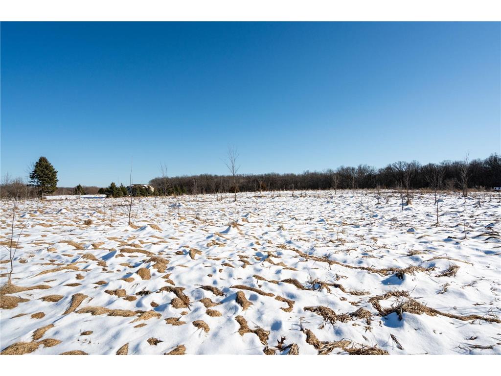 196xx 346th Shafer Twp MN 55084 7031488 image12