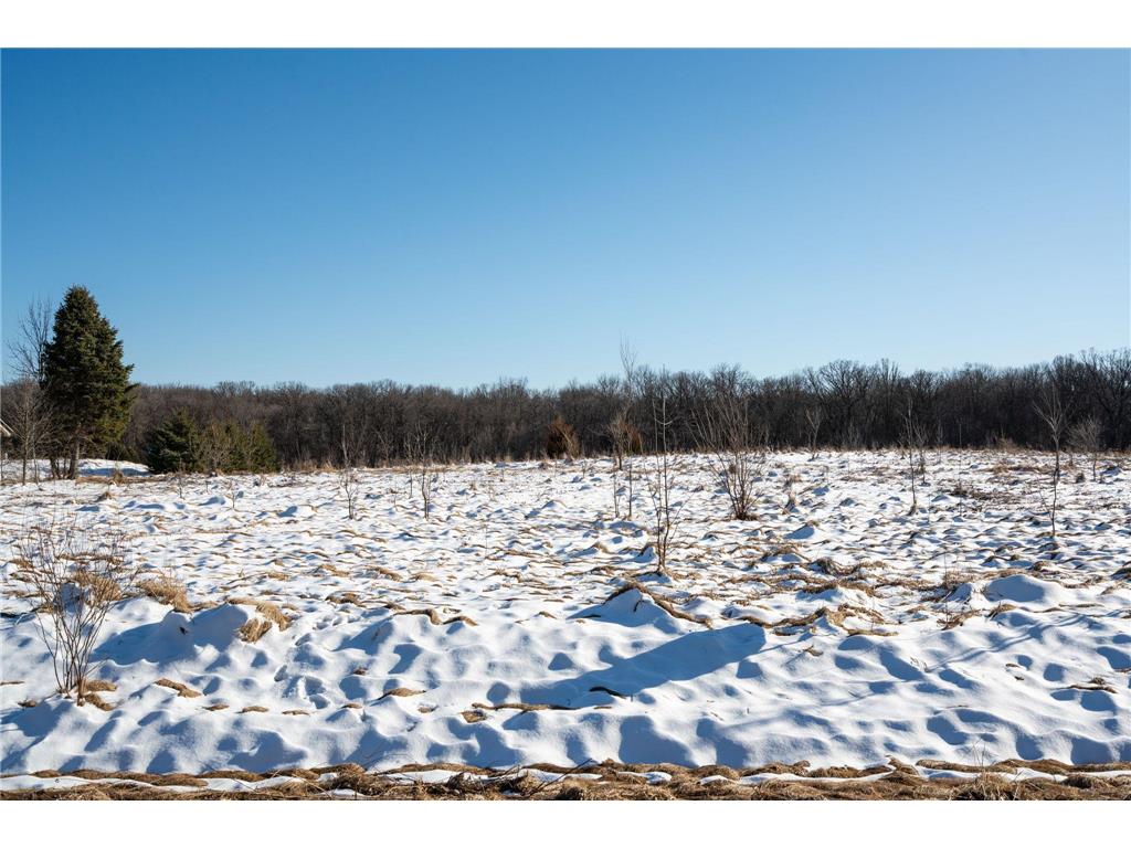 196xx 346th Shafer Twp MN 55084 7031488 image13