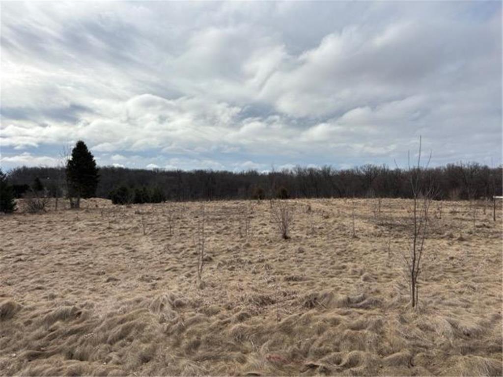 196xx 346th Shafer Twp MN 55084 7031488 image16