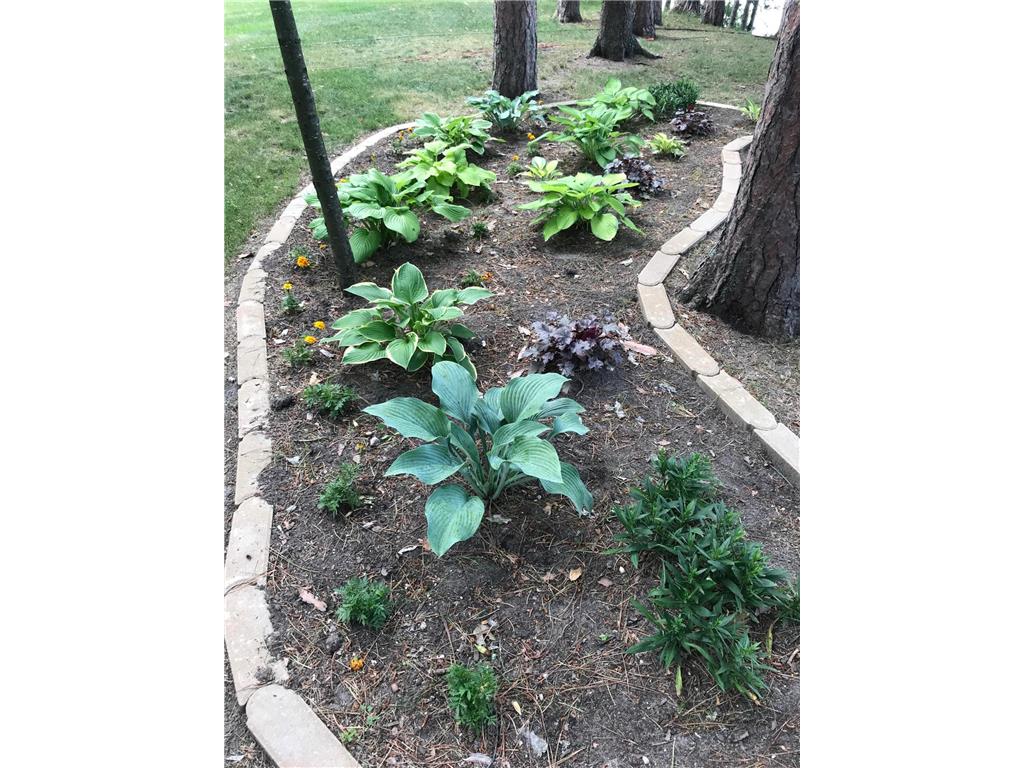 197 Broadwater Lane NE Longville MN 56655 - Woman 6817582 image62