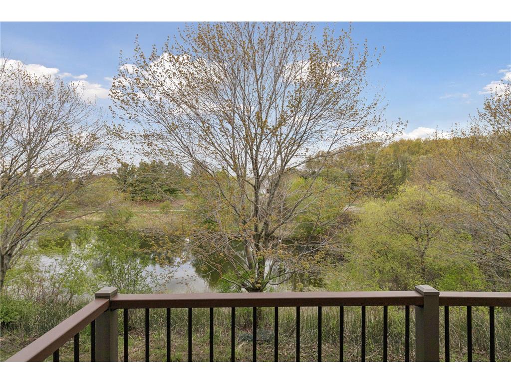 1971 Andrew Court Chanhassen MN 55317 7023052 image42