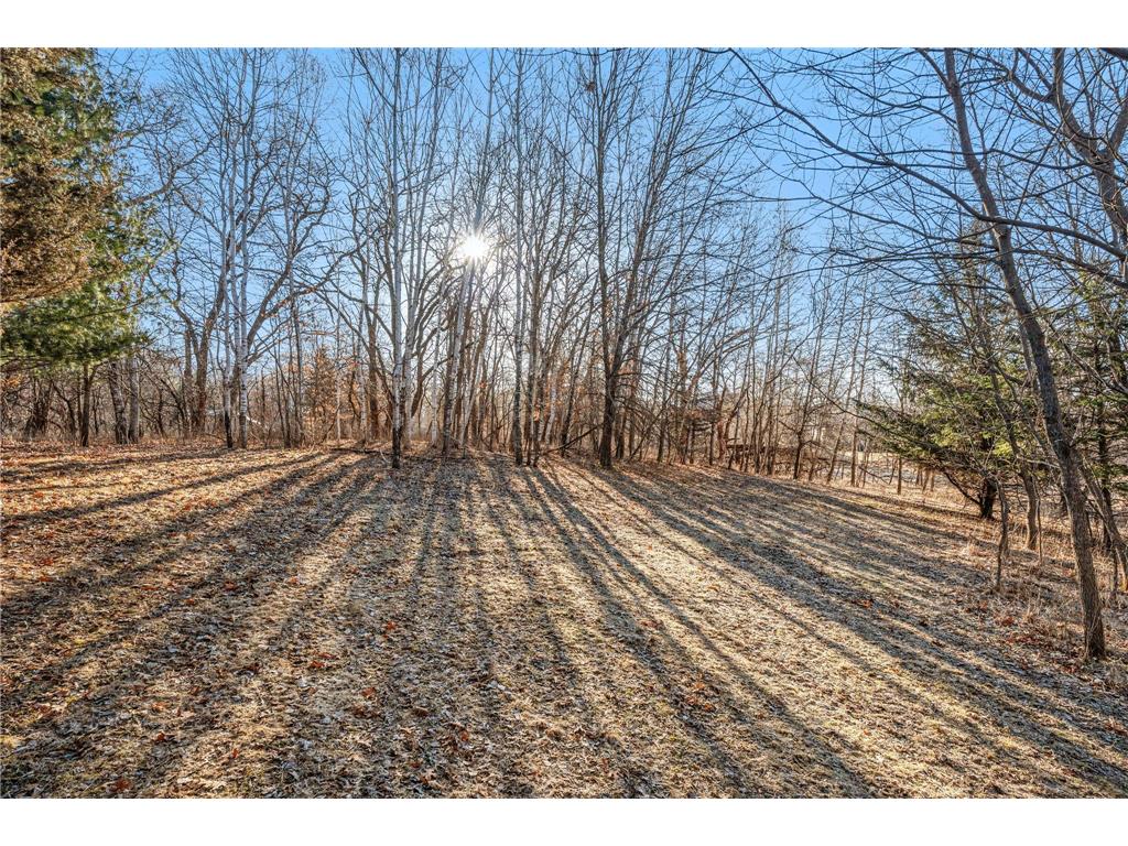 19713 Lander Street NW Elk River MN 55330 7028057 image49