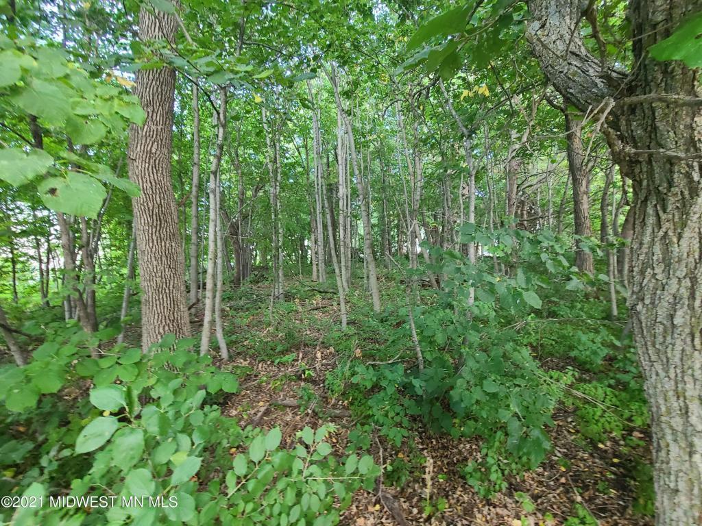 19733 Audubon Lake Road Audubon MN 56511 - Audubon 6706001 image3