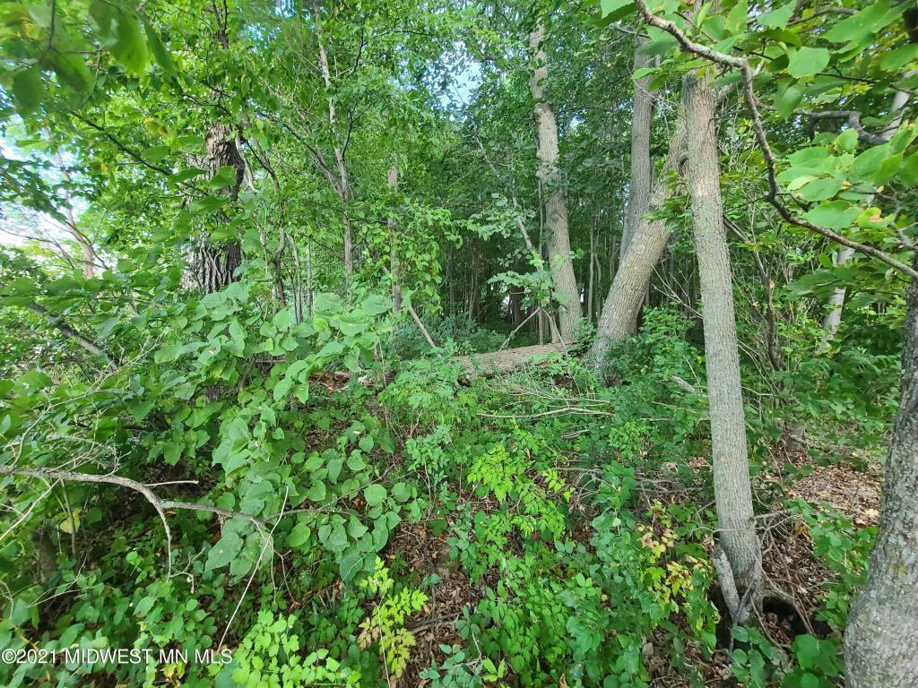 19733 Audubon Lake Road Audubon MN 56511 - Audubon 6706001 image4