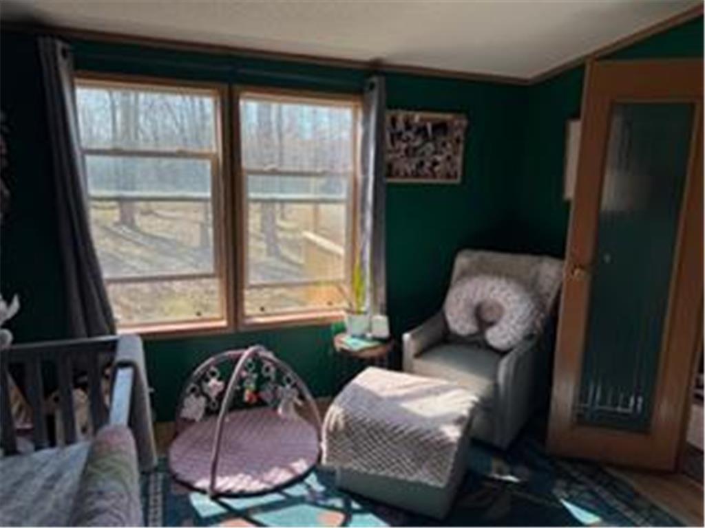19768 65th Avenue Hayland Twp MN 56353 7056618 image20