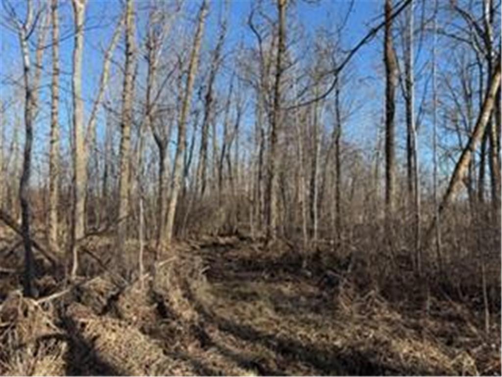 19768 65th Avenue Hayland Twp MN 56353 7056618 image27