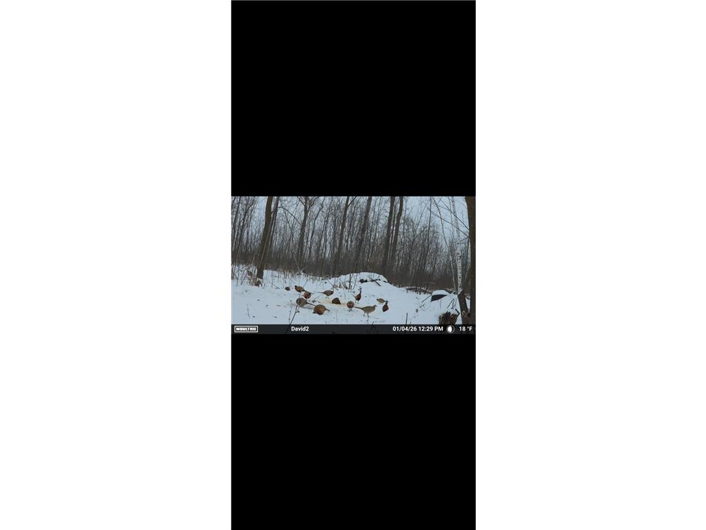 19768 65th Avenue Hayland Twp MN 56353 7056618 image36