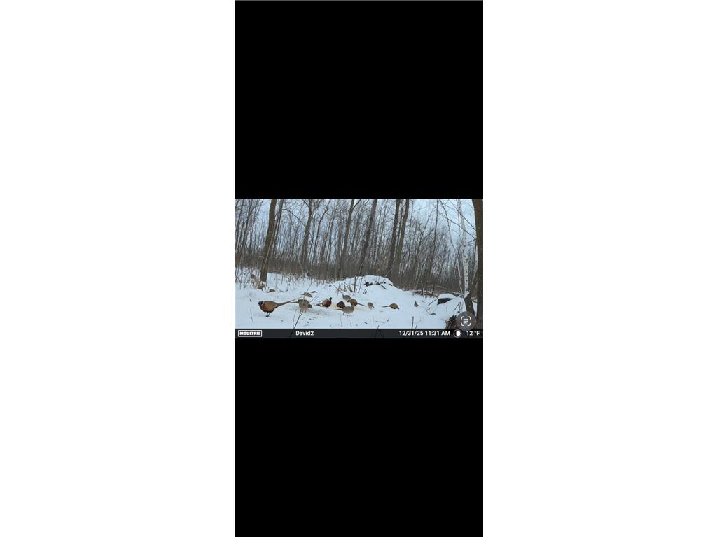 19768 65th Avenue Hayland Twp MN 56353 7056618 image37