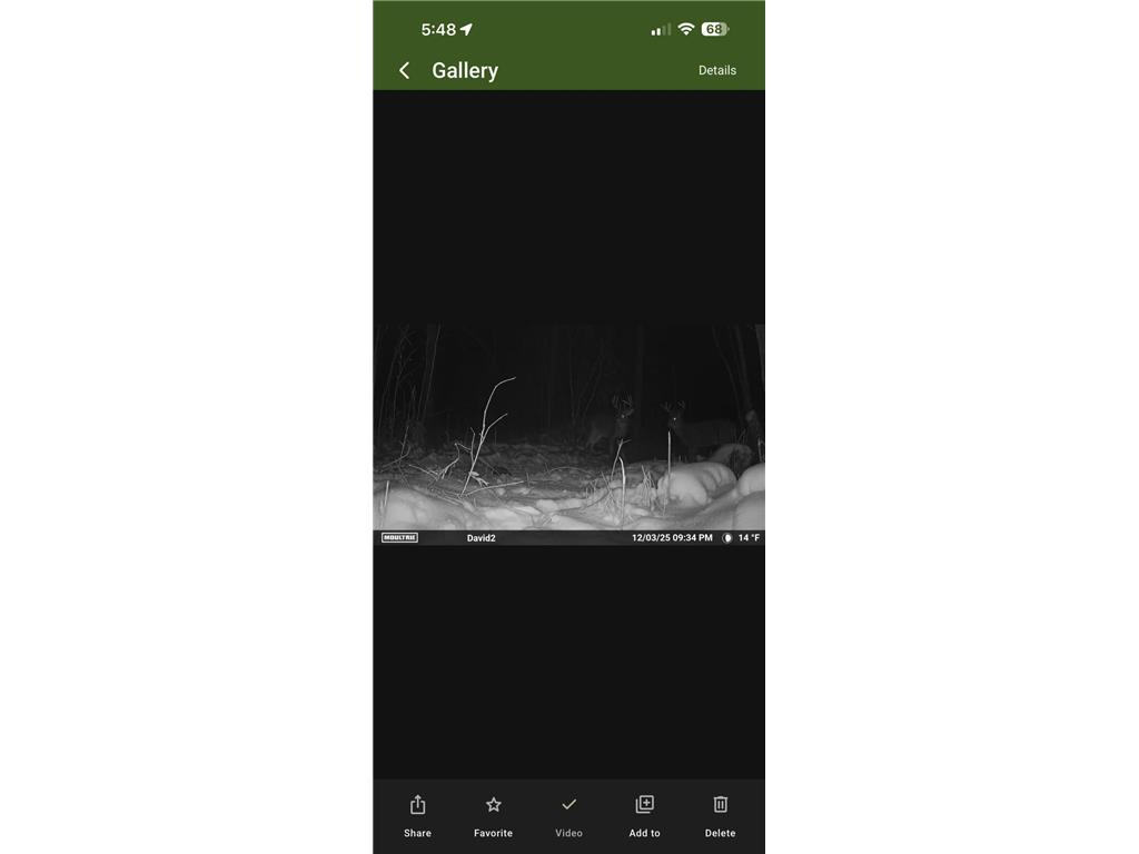 19768 65th Avenue Hayland Twp MN 56353 7056618 image38