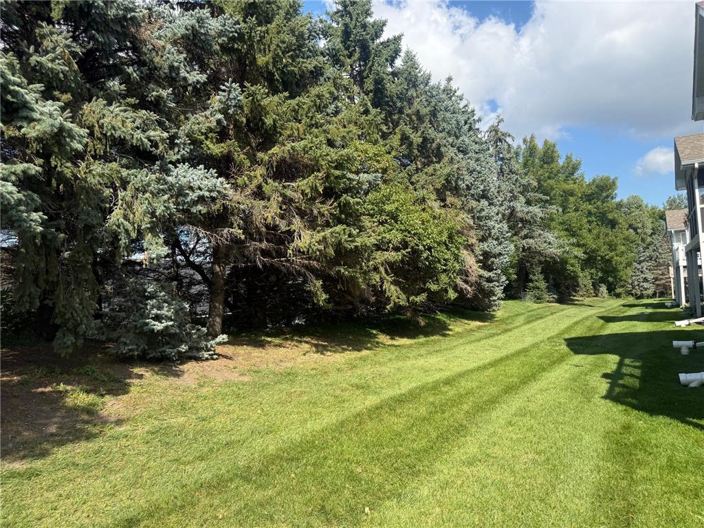 19782 Waterford Court Shorewood MN 55331 7014498 image21