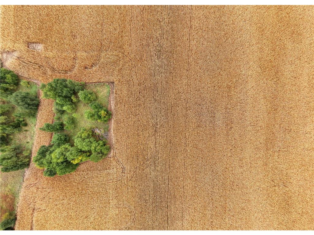 19786 Highway 25 NW Big Lake Twp MN 55309 6800957 image14