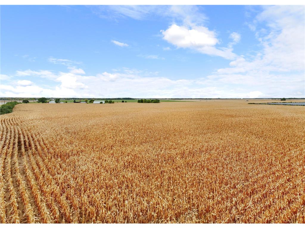 19786 Highway 25 NW Big Lake Twp MN 55309 6800957 image27