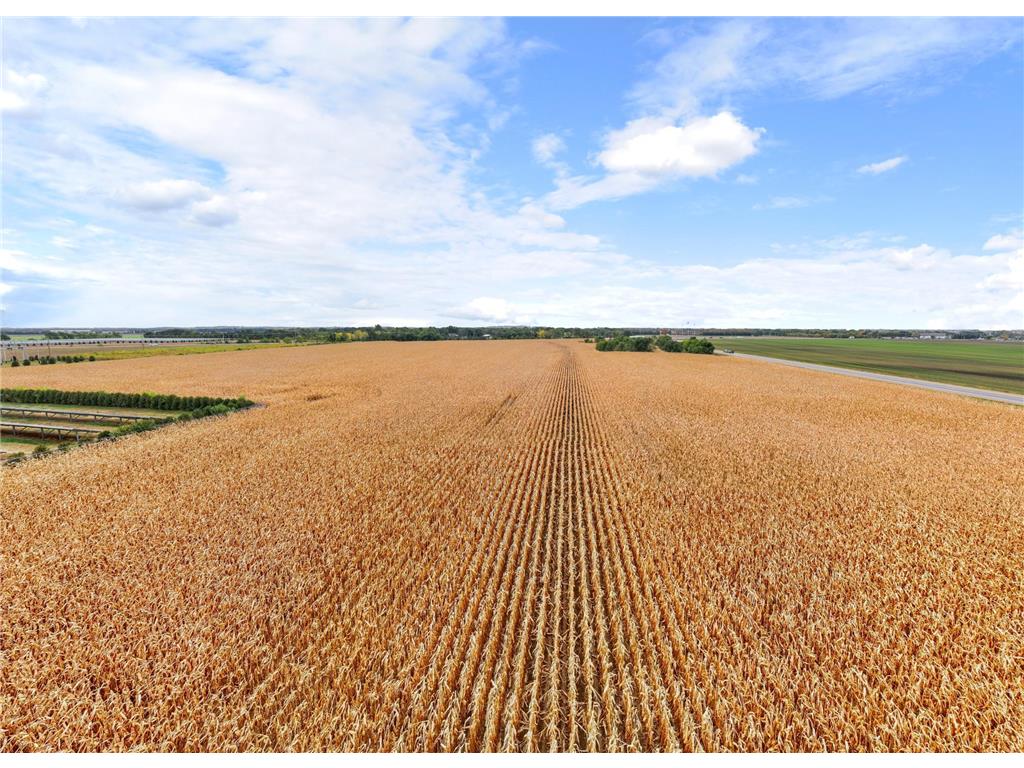 19786 Highway 25 NW Big Lake Twp MN 55309 6800957 image30